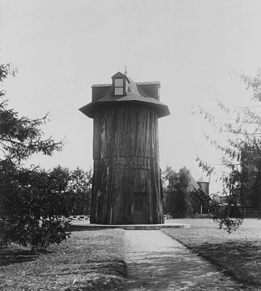 TreeHouse.jpg