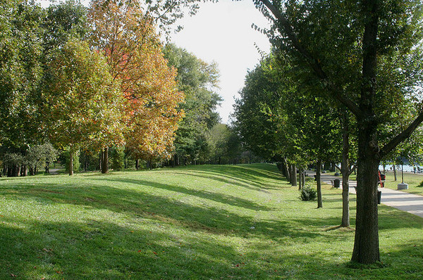 levee.jpg