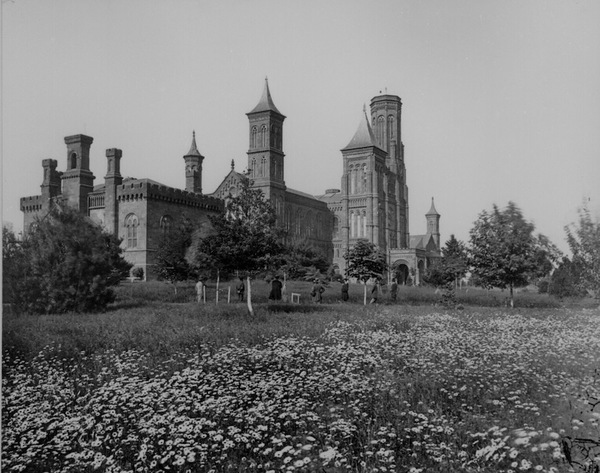 Castle.jpg