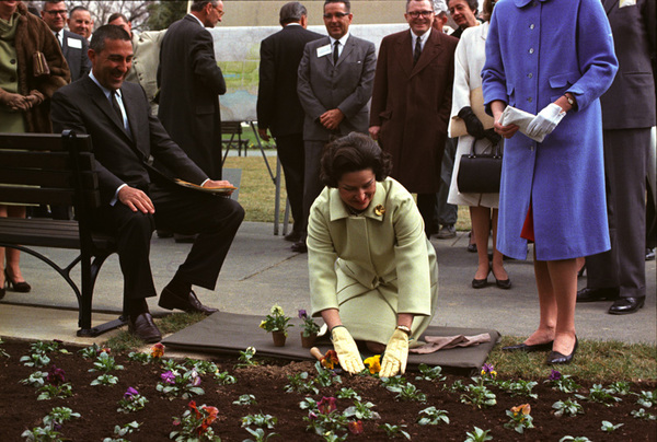 LadyBirdPlanting.jpg