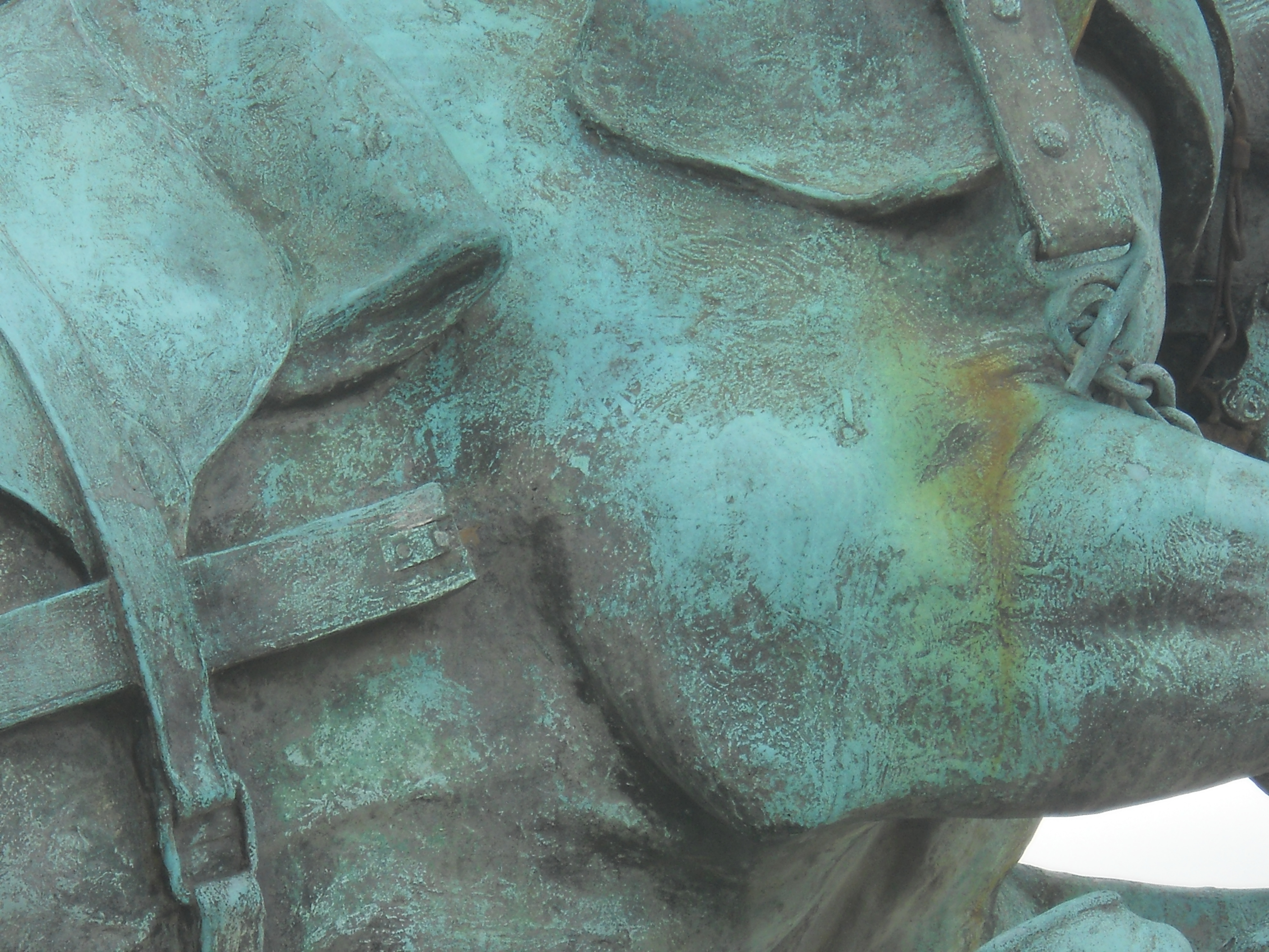 bridle.JPG