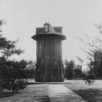 TreeHouse.jpg