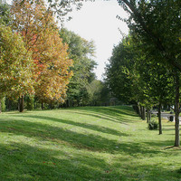 levee.jpg