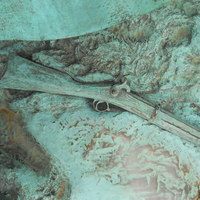 gun.JPG