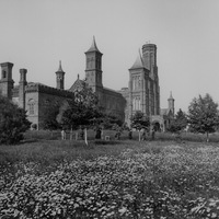 Castle.jpg