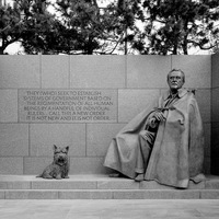 FDR-LOC.jpg