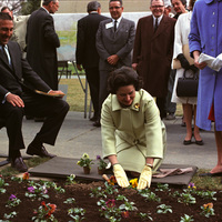 LadyBirdPlanting.jpg