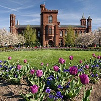 HauptGarden.jpg