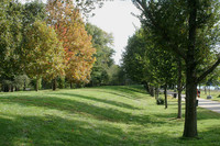 Levees on the National Mall
