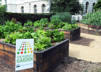 People's Garden