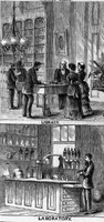 Interior of the Department of Agriculture, 1871