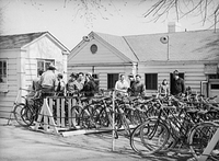 Bicycle Rental at the Tidal Basin